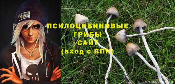apvp Нязепетровск
