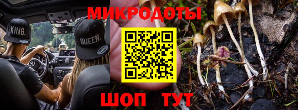 Псилоцибиновые грибы GOLDEN TEACHER  Вход с VPN  Киров 