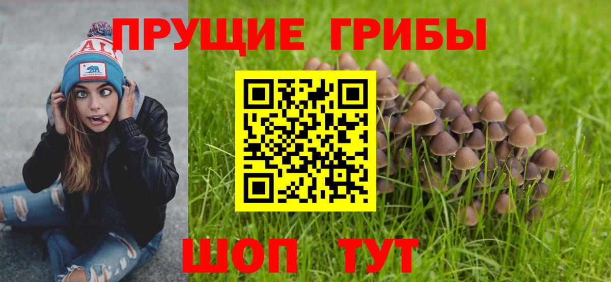 Галлюциногенные грибы Magic Shrooms  Киров  Псилоцибиновые грибы мицелий 