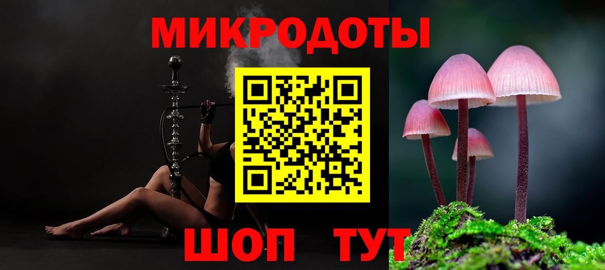 Галлюциногенные грибы Psilocybine cubensis Киров