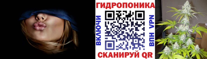 где найти Киров hydra сайт Бошки Шишки планчик